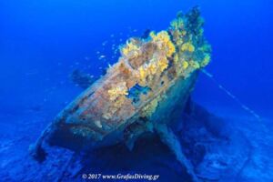 News: Shipwreck-of the gunboat Pellegrin Matteucci (c) Grafas Diving