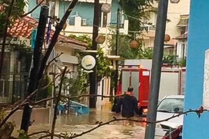 News: Flash flooding in Vasiliki