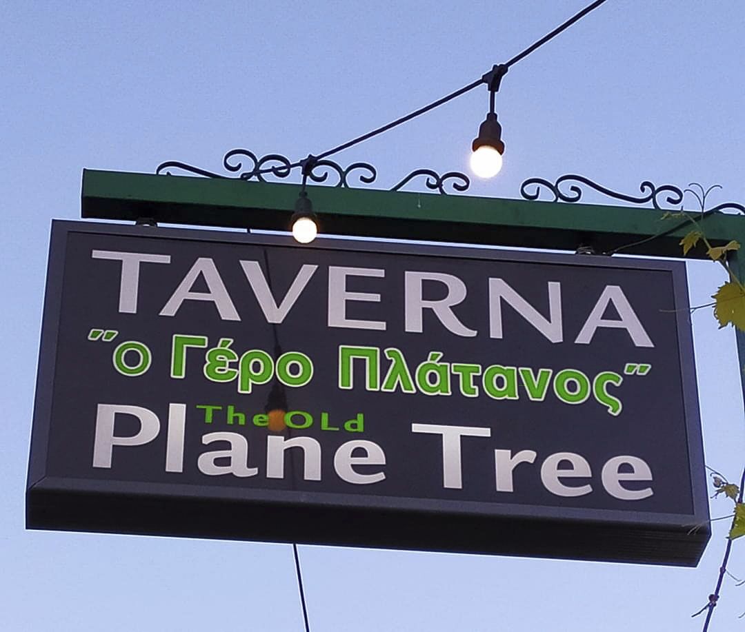 The old Plane Tree Lefkada