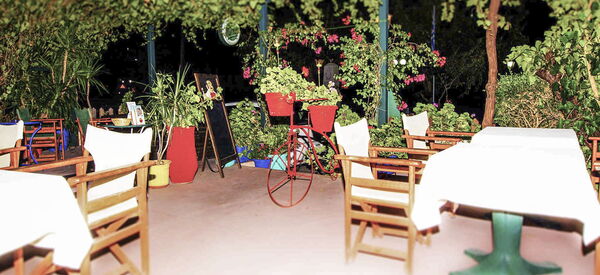 THE OLD PLANE TREE Kontarena - Best for local organic food and wine.